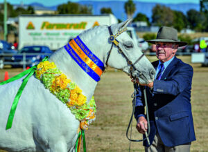 Long record of success for Australian Pony breeders
