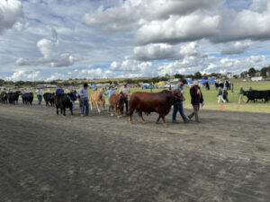 Keeping mum on cattle judge identities