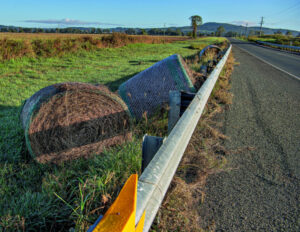 Council reviews damage caused by ex-TC Alfred