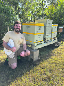 Buy local honey as mite threat looms