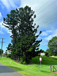 Concerns raised about development impact on Mason’s Gully