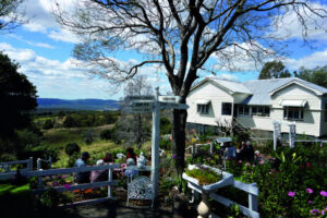 Flower festival visit for Rosewood Seniors