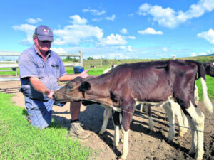 Work with Lifeline mental health program puts life into perspective