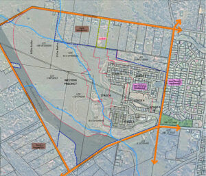 Dawn Walloon keeps growing