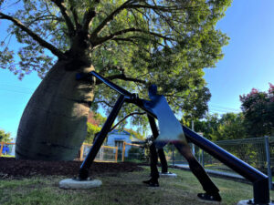 New feature in Cobb and Co park, Rosewood