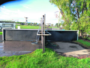 Border Trots 31st March