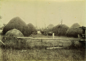 Early settlement by nationalities