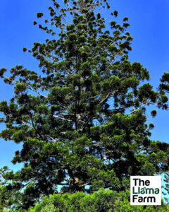 Significant and historic, landowner flabbergasted by new revelations