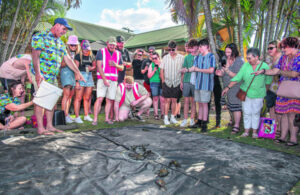 Yabby races at the Walloon Hotel