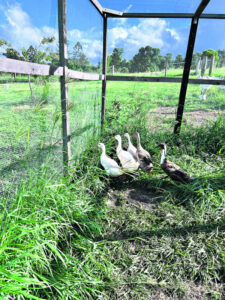 Hard Lessons – Part Two