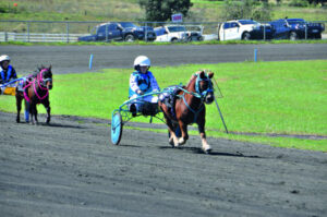 A day of fun at the Marburg races