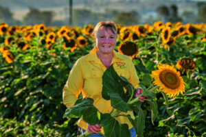 Fields of gold backdrop to night of music, fireworks