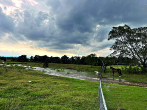 Rainfall for December 2022