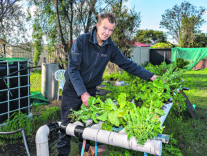 From fish to dish hydroponics food source a winner