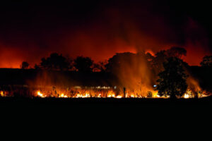 Controlled burn glows ahead of bushfire season