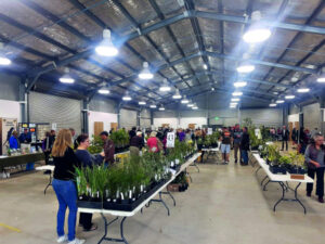 Something for everyone at the Rosewood Native Plant Sale