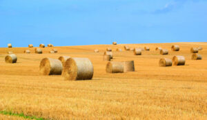 Rural worker ag accommodation initiative