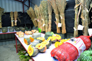 Marburg Show set to entertain all ages