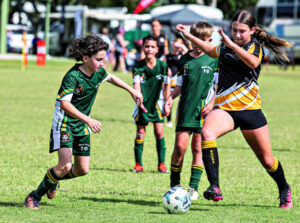 Rosewood carnival fine end to season