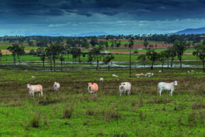 Spring starts with record falls