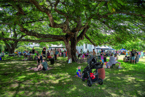 Fun for free, Rosewood’s big day out