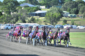 Labour Day fun at the Marburg races