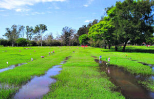 Work to rescue plaques at flood-prone cemetery