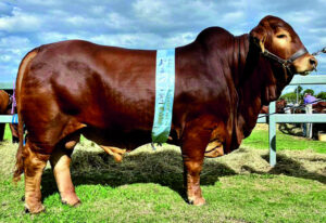 Third successive supreme to Issac