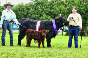 Highland success at Toowoomba Show