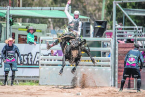 American aspirations for Rosewood bull rider