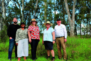Koalas protected under first conservation covenant