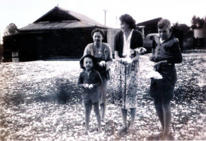 Hail the size of oranges – a stormy battering