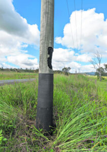 High tech mesh saving power and poles