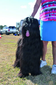 Marburg community lights up for the annual show