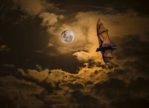 Cold moon lights up Rosewood night sky