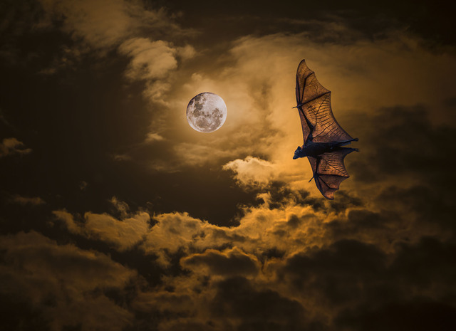 Cold moon lights up Rosewood night sky