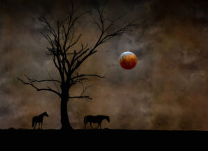 Lunar eclipse captures Ipswich