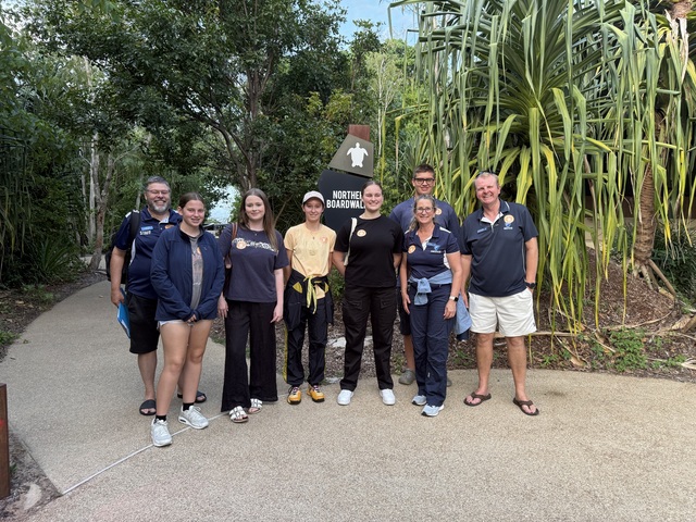 Mon Repos turtle hatchlings inspire students