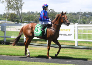 Bella’s time is arriving fast