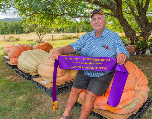 Heavy hitters in the world of giants